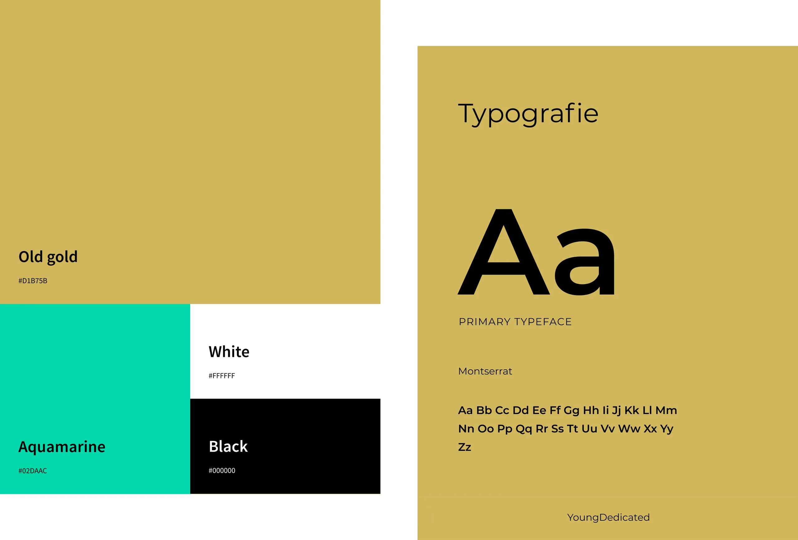 Brand identity elements and colors of YoungDedicated