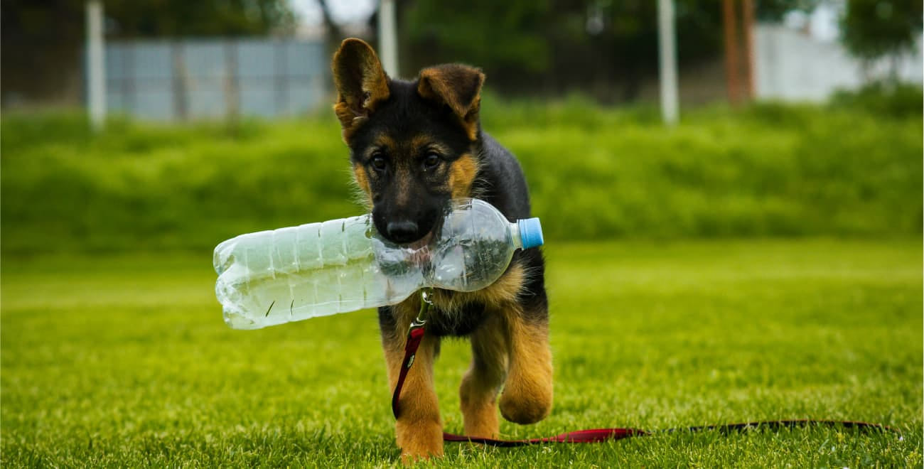 header-cases-enjoy-cleaning-up header-cases-enjoy-cleaning-up