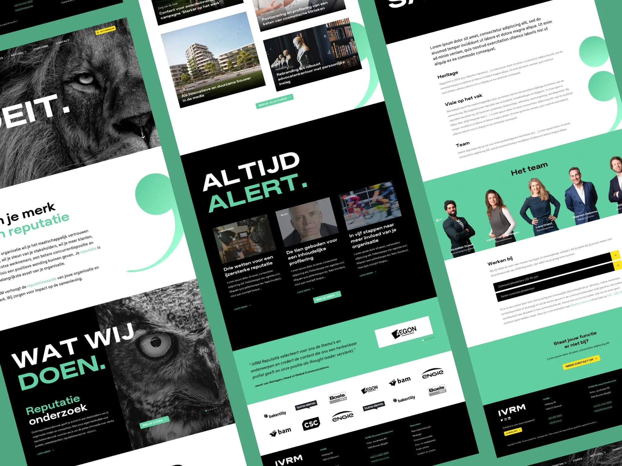 Overzicht van de IVRM website op meerdere apparaten