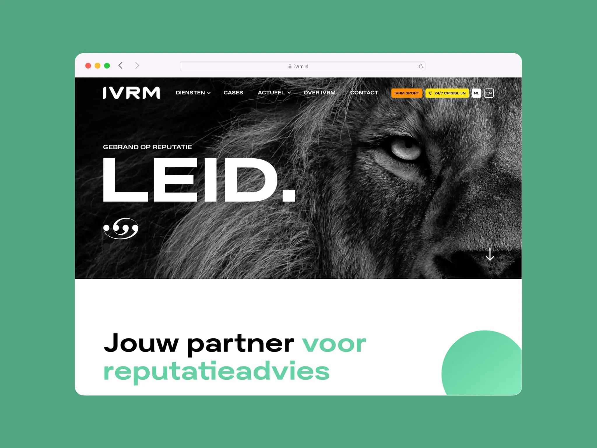 Detailweergave van de IVRM website