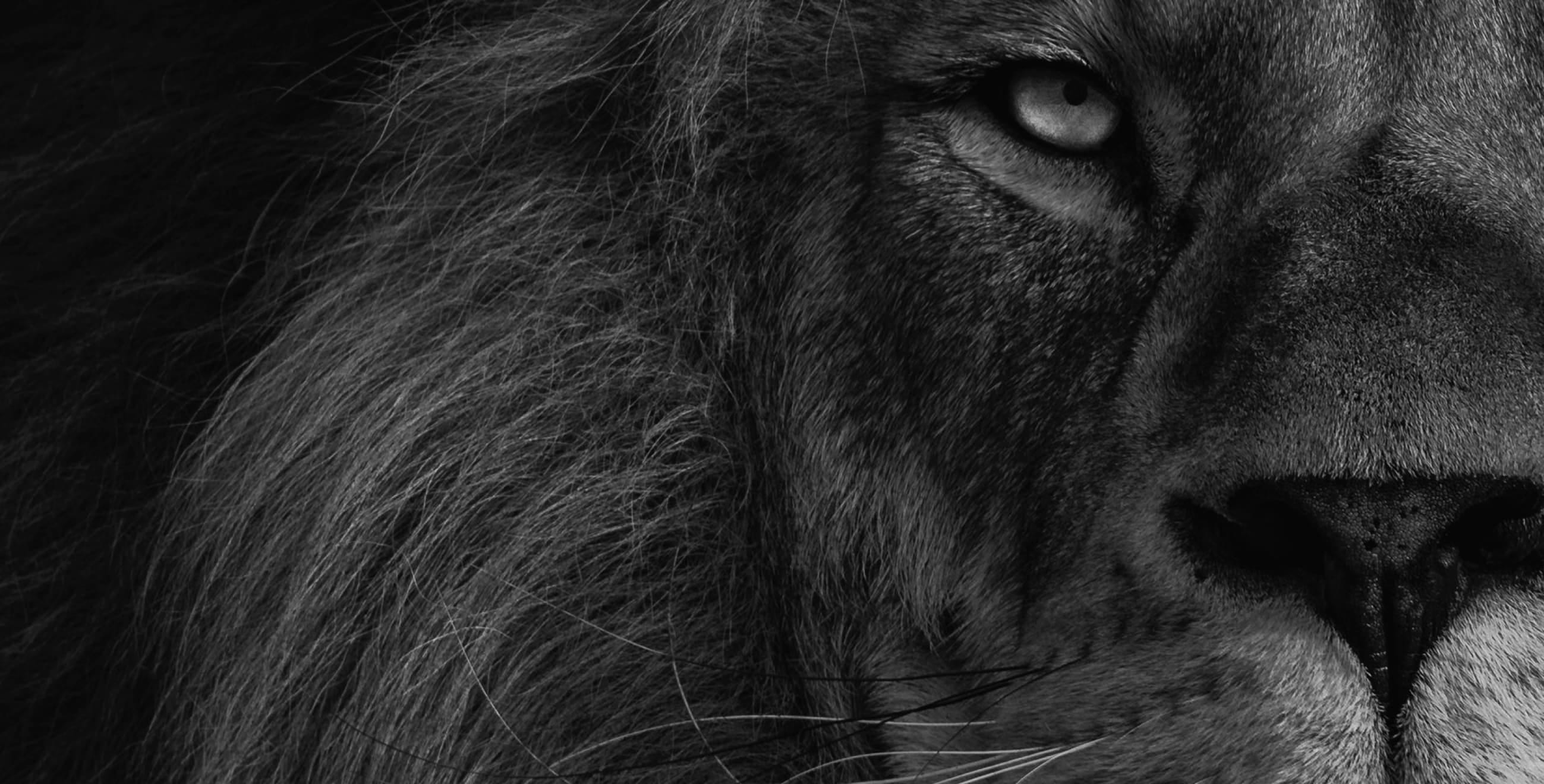 Give your brand a reputation