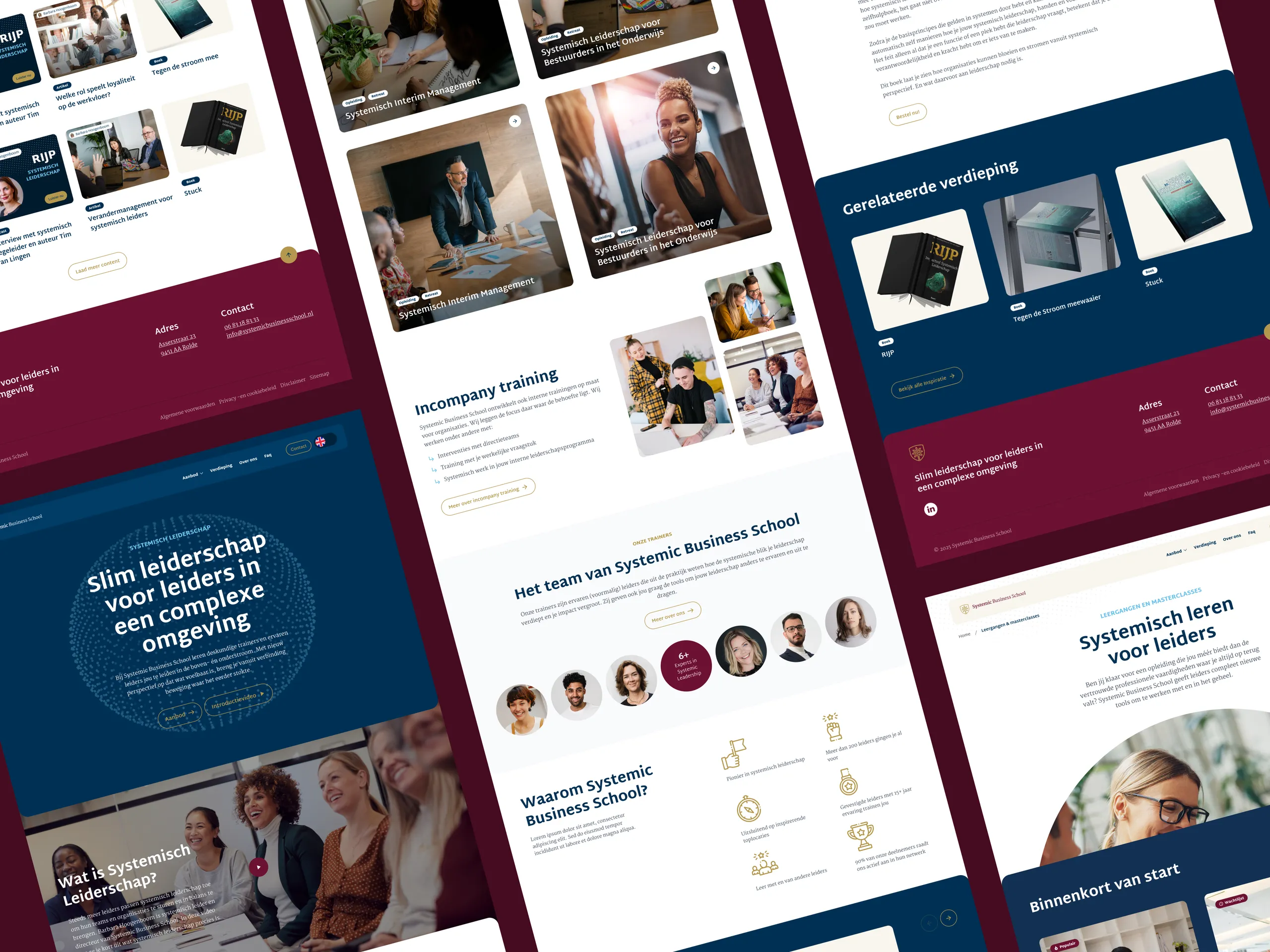 Overzicht van de Systemic Business School website