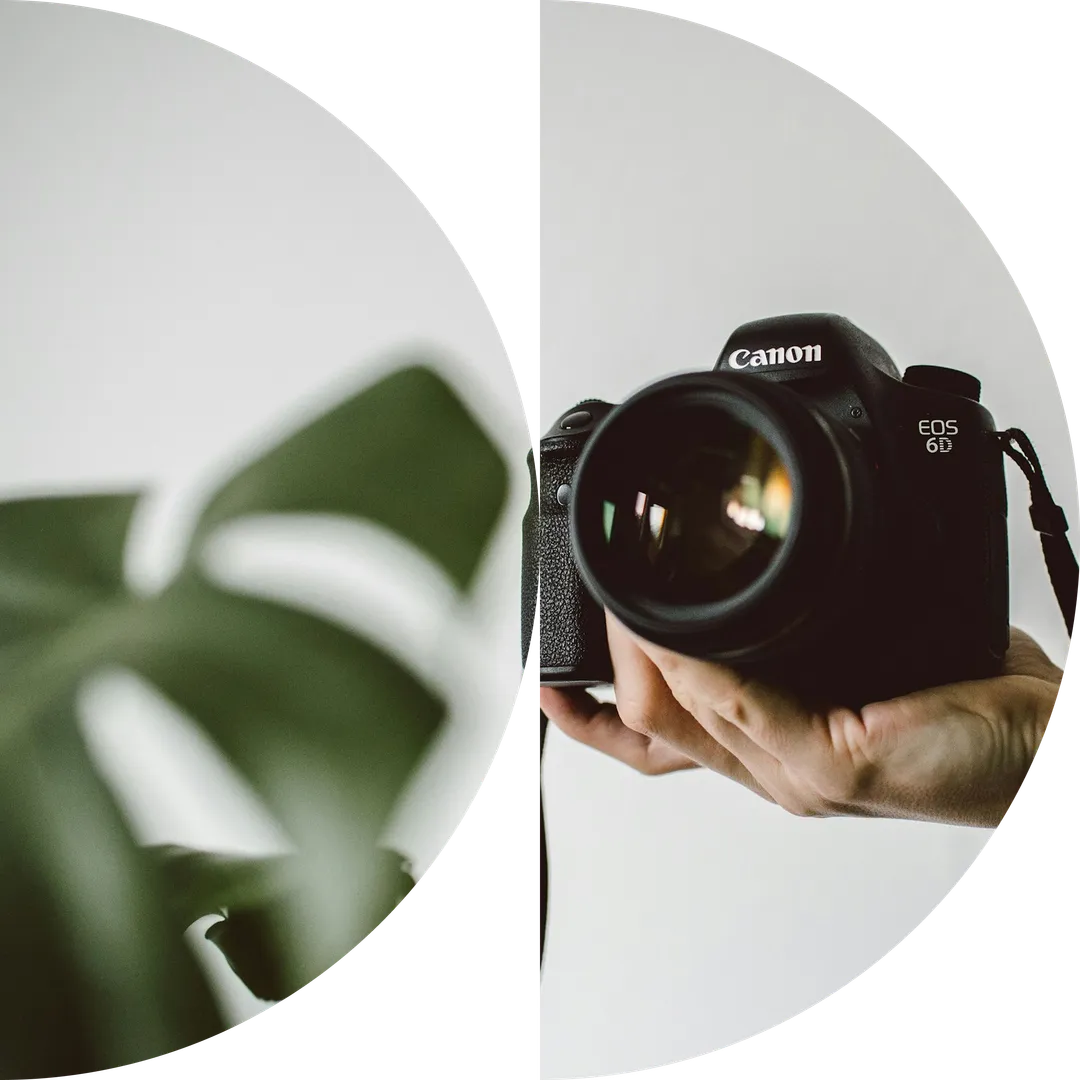 Professional photography for websites and online communications