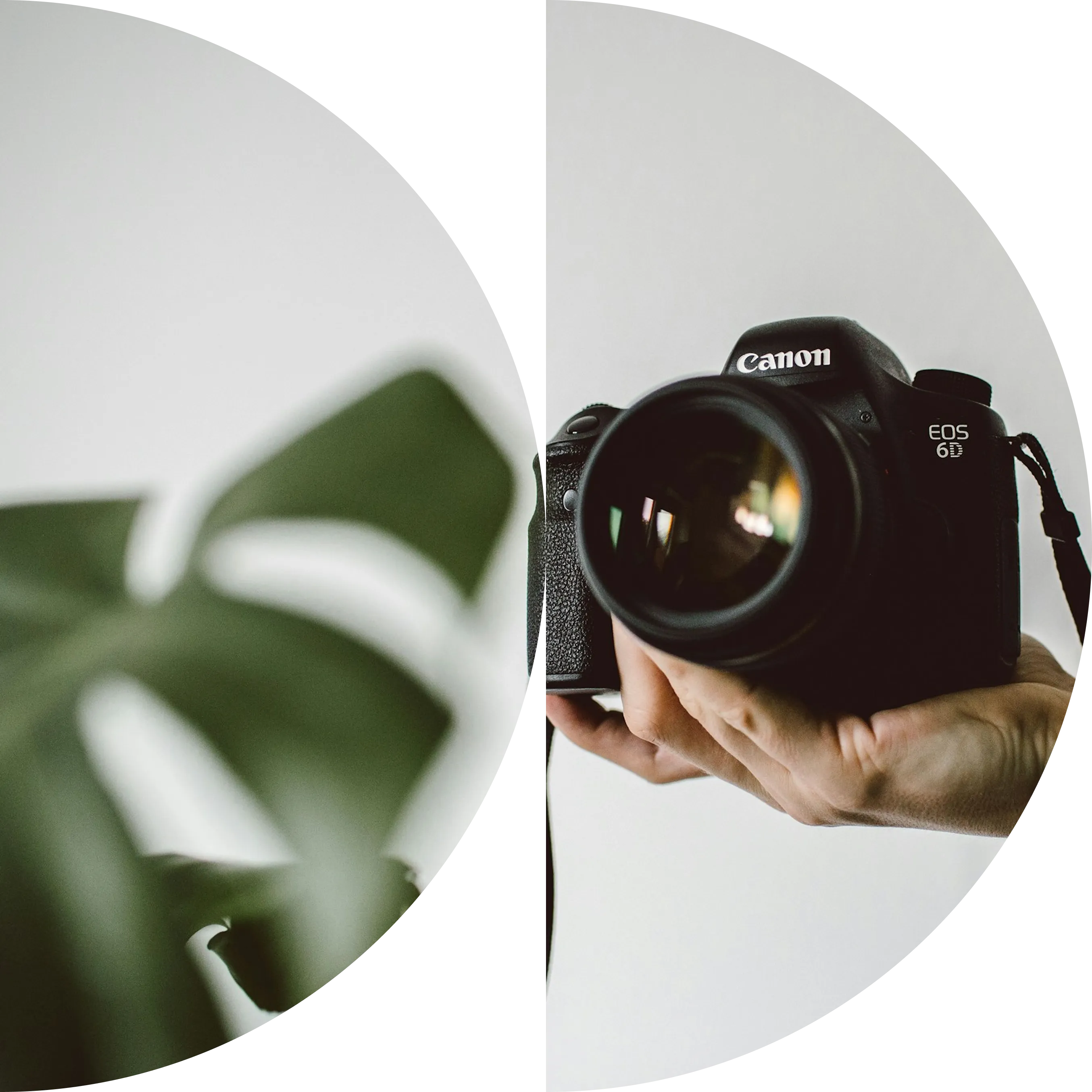 Professionele fotografie voor websites en online uitingen