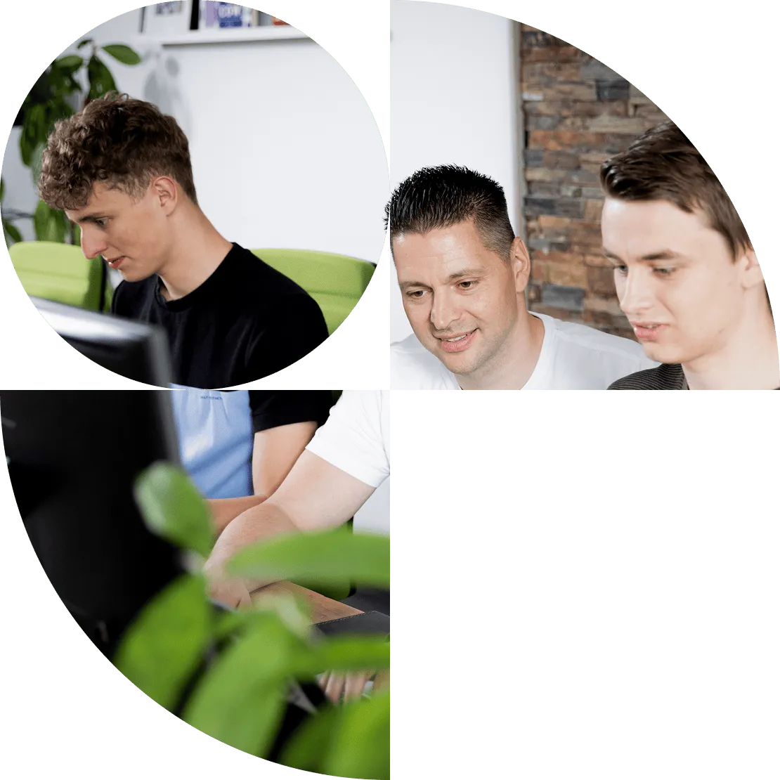 Visual representation of an online community platform built with WordPress